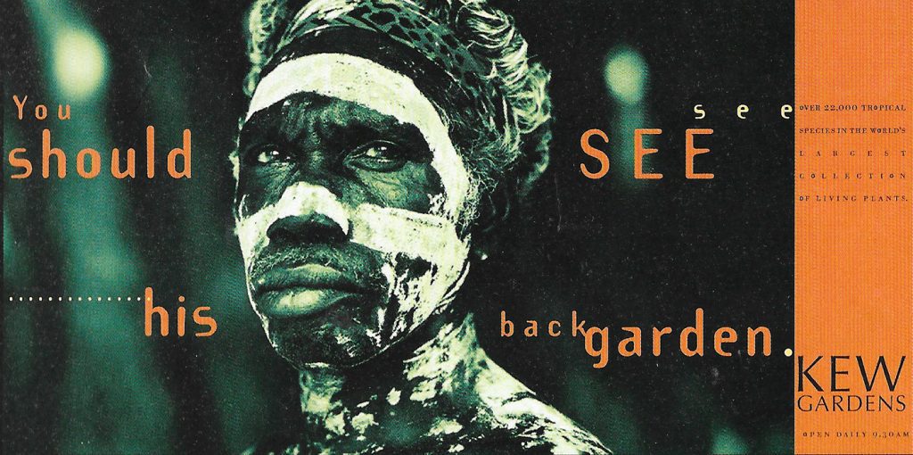 Senka Loosemore - Graphic Design